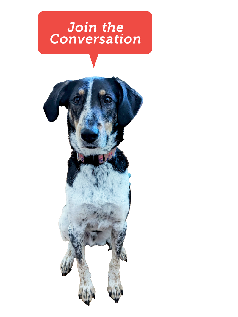Dog with speech bubble saying "Join the Conversation"