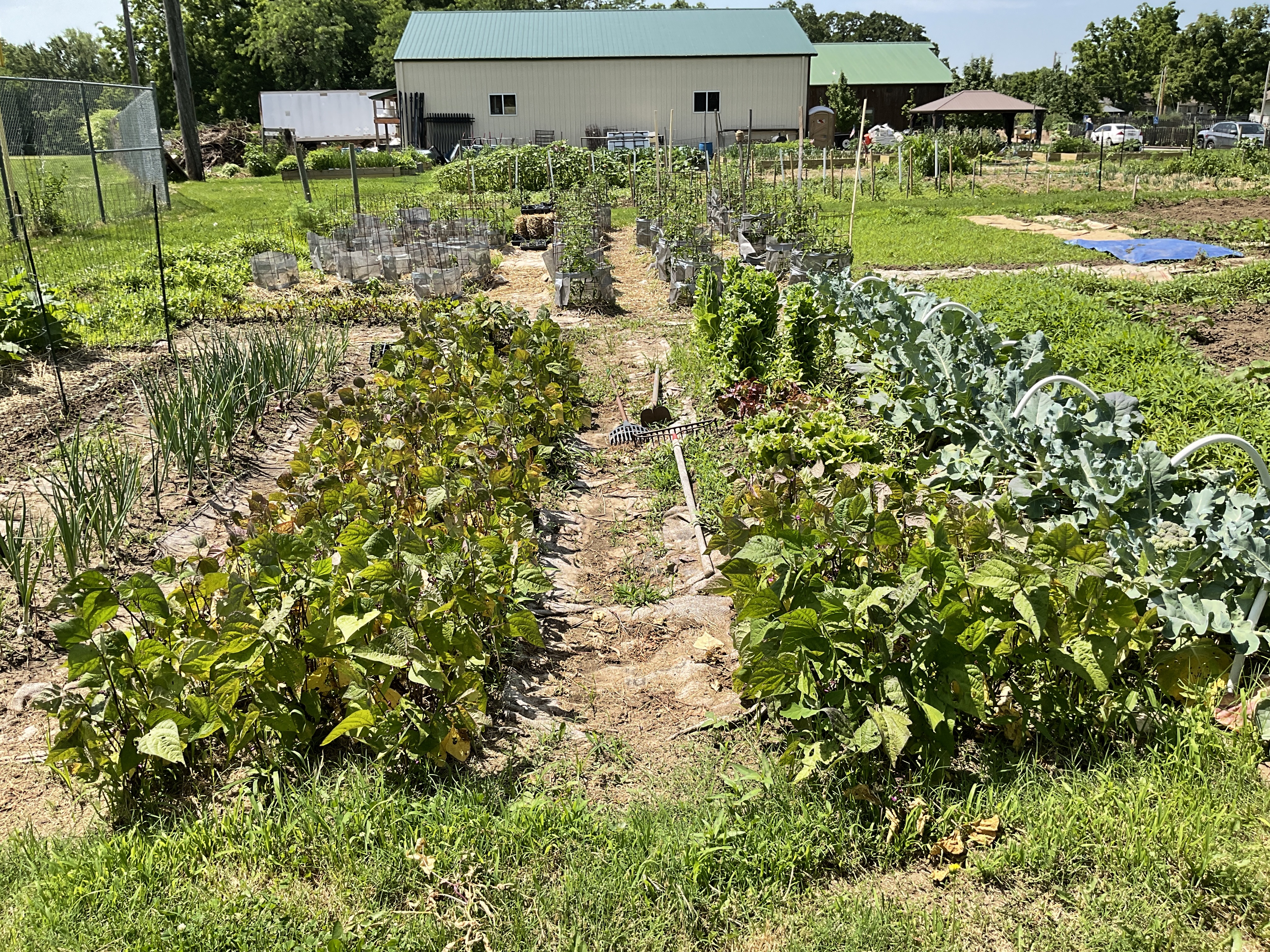 Kansas City Community Gardens