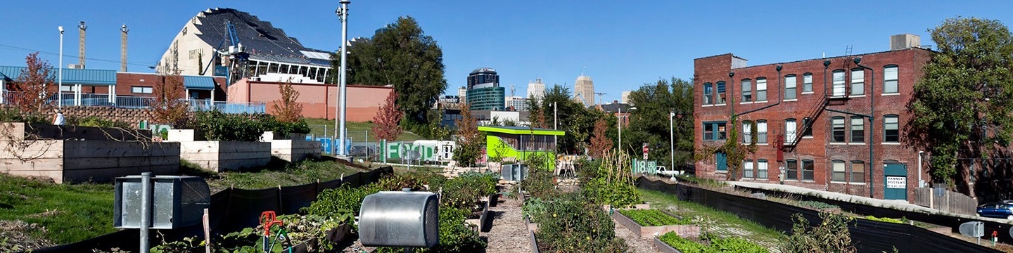 A community garden with several raised beds. 
